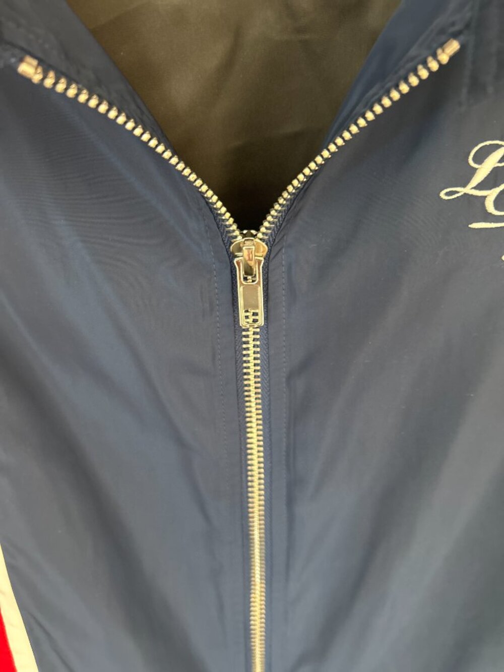 Lana Del Rey Racing Jacket - Picture 3 of 4